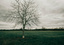 page banner image