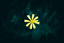 page banner image